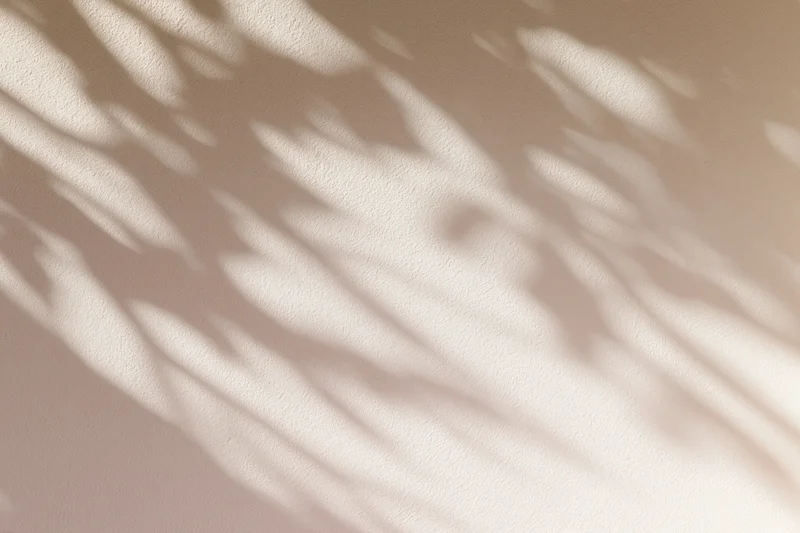 Dappled shadows from tree branches projected onto a textured beige wall