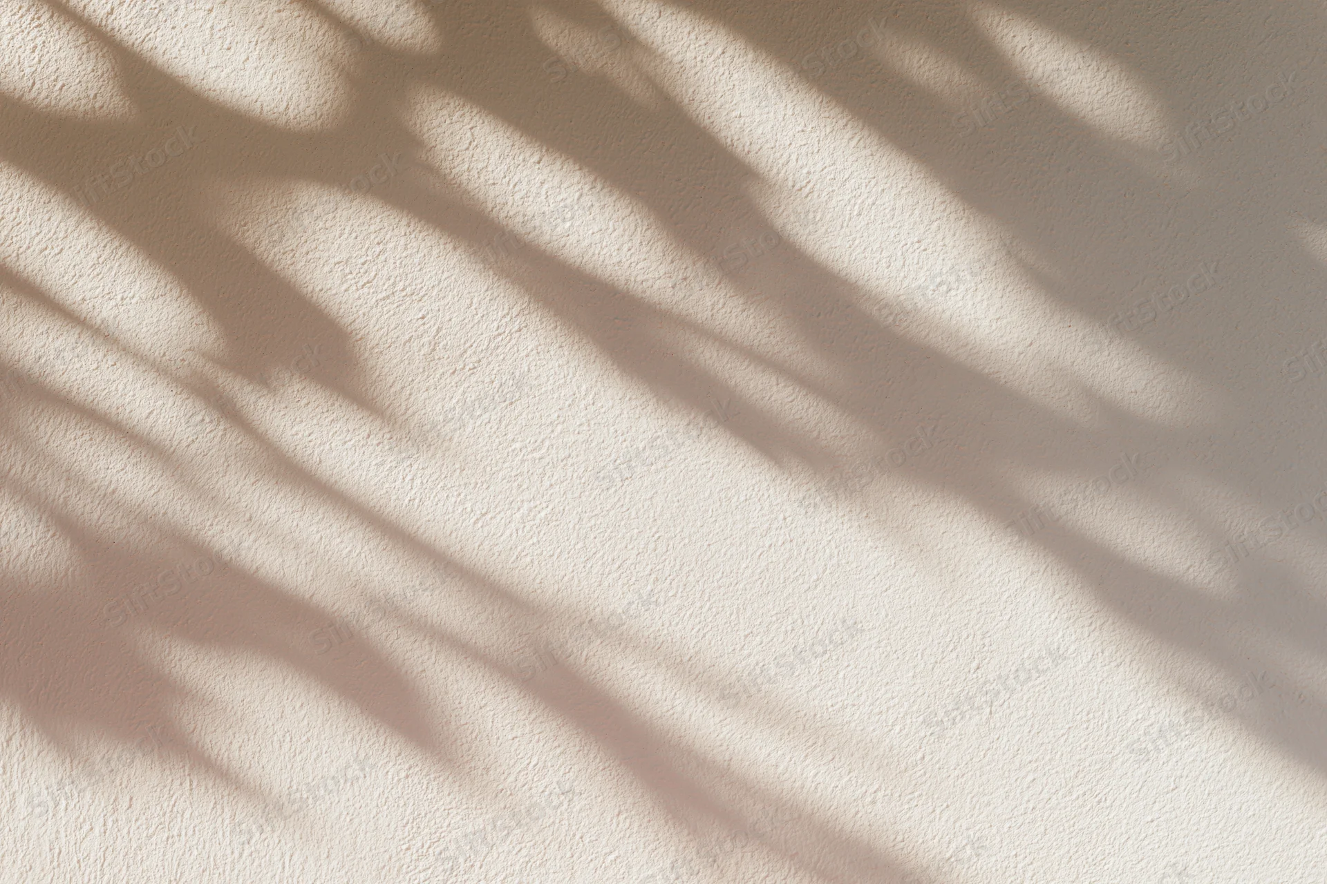 Dappled shadows from tree branches cast across a textured beige wall