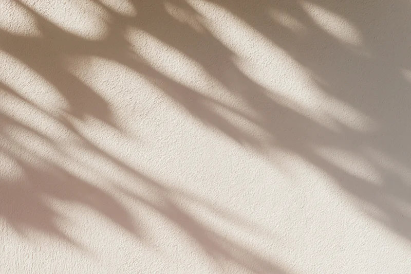 Dappled shadows from tree branches cast across a textured beige wall