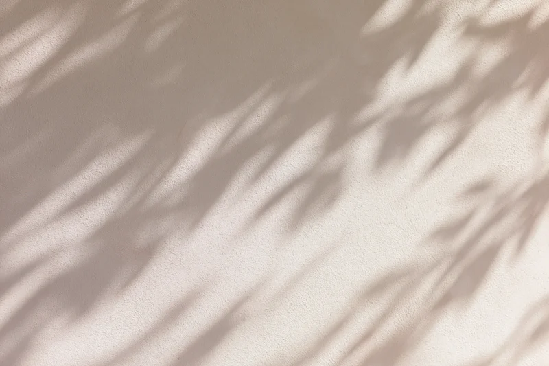 Dappled shadows from tree branches cast across a textured beige wall
