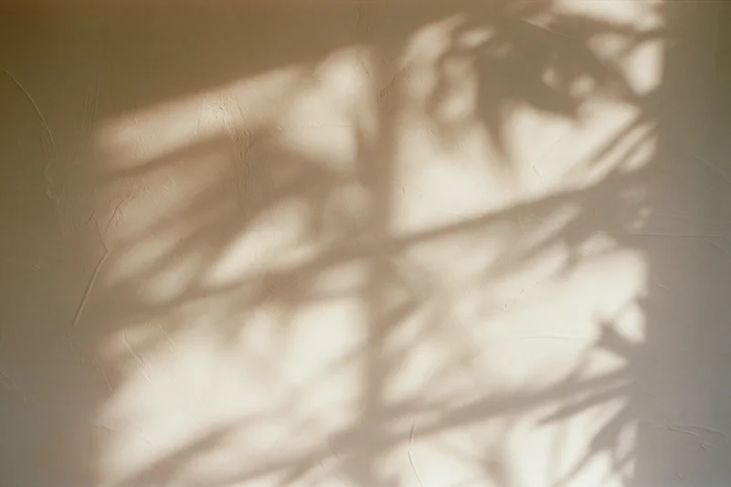 Dappled shadows of plant leaves and window frame on a textured wall
