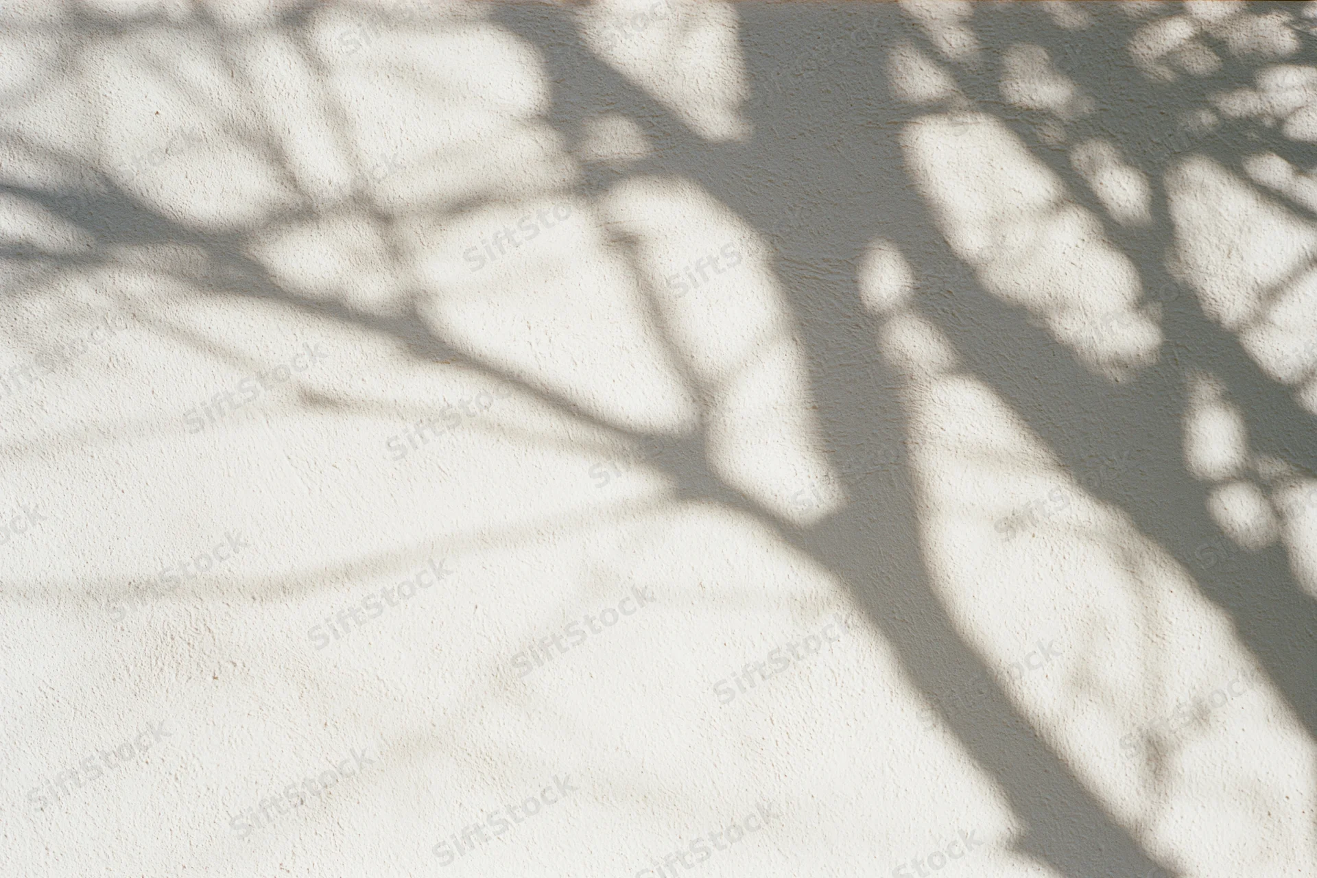 Dappled shadows of bare tree branches on a textured wall in daylight
