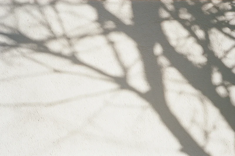 Dappled shadows of bare tree branches on a textured wall in daylight