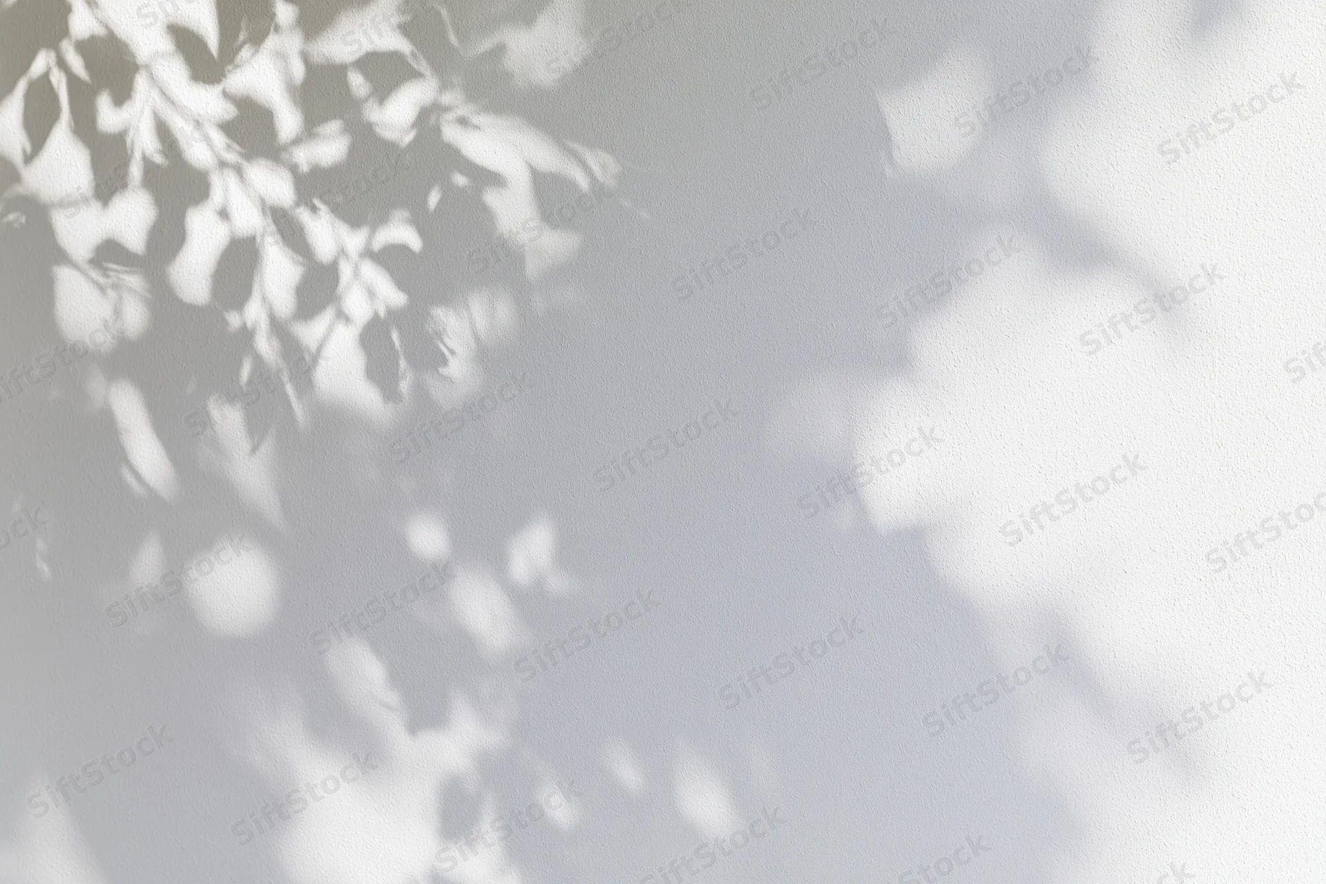 Dappled shadows of leafy branches cast across a plain white surface
