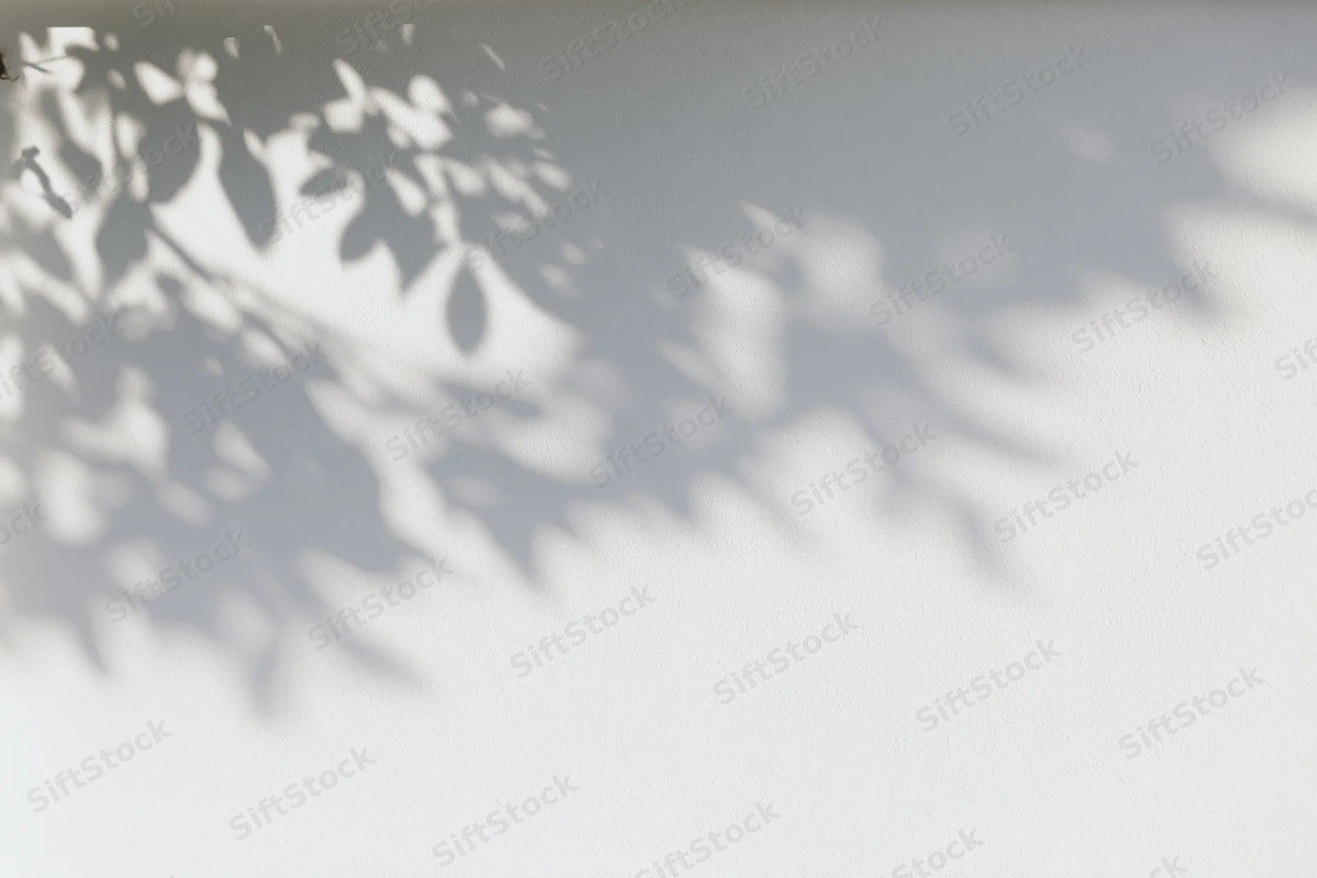 Dappled shadows of tree branches cast across a white wall