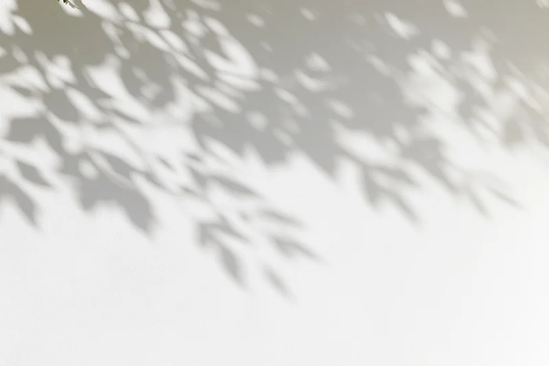 Dappled leaf shadows cast on a white surface outdoors