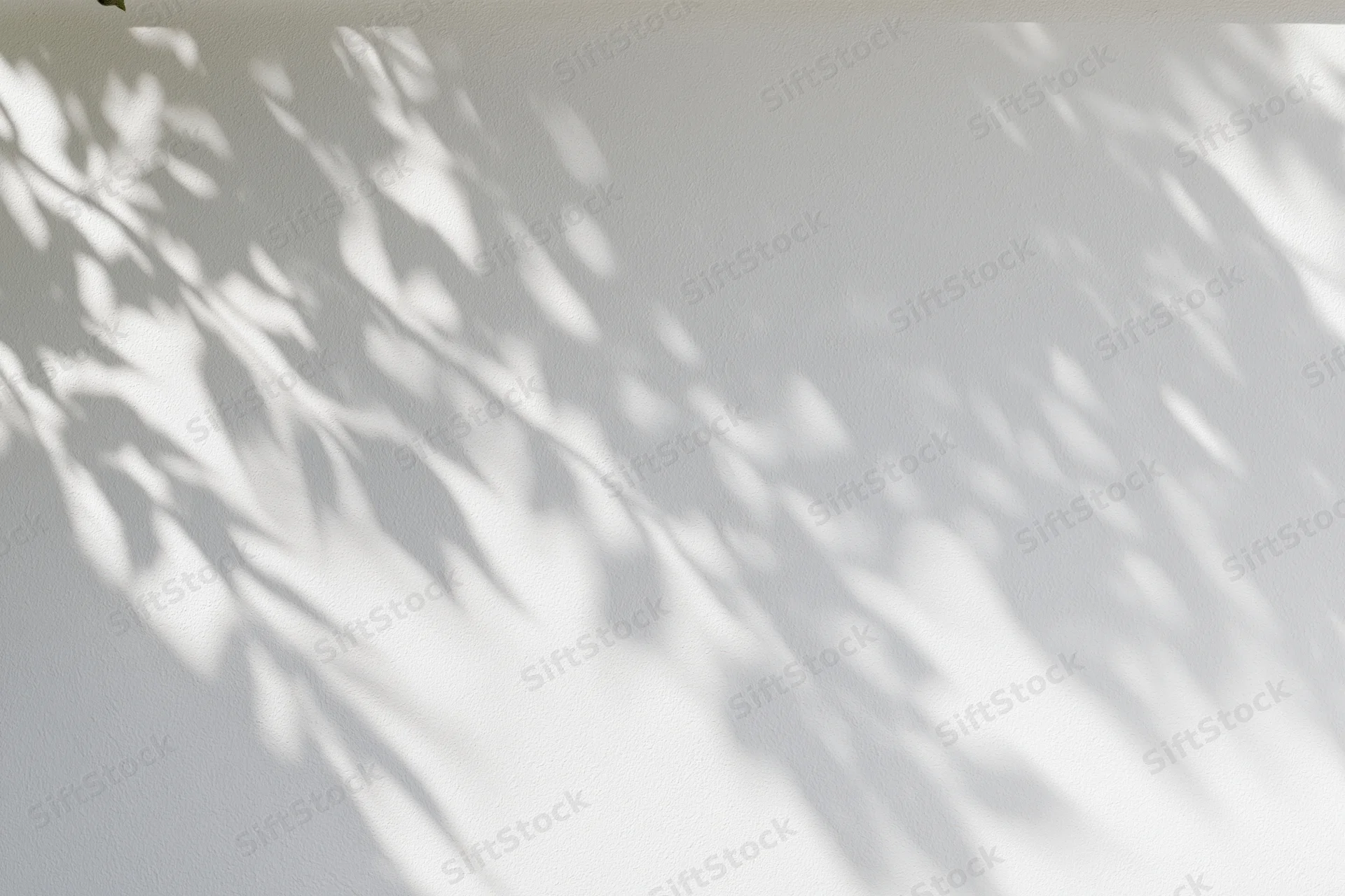 Dappled leaf shadows cast on a white wall by sunlight