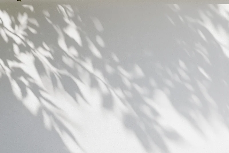 Dappled leaf shadows cast on a white wall by sunlight