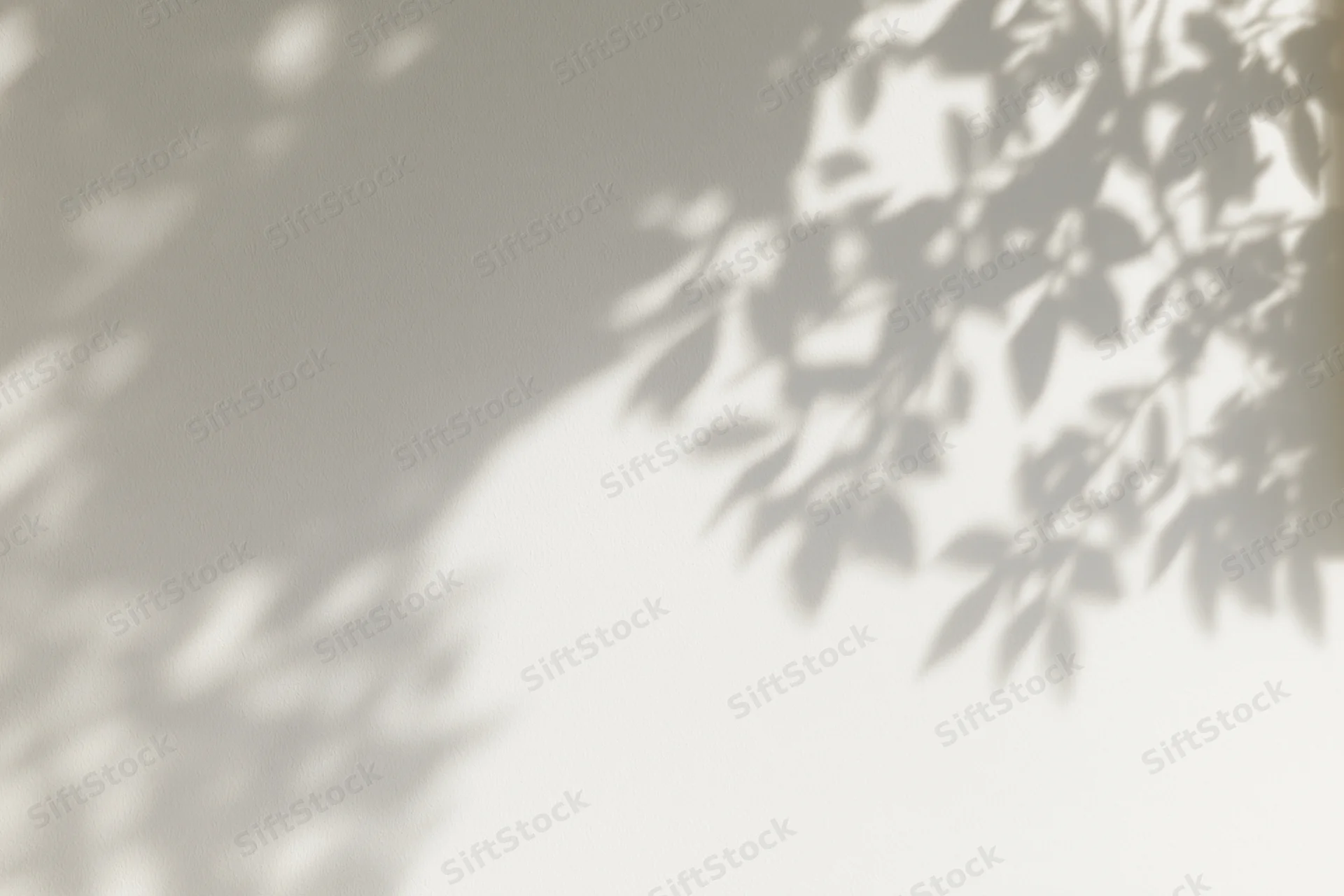Dappled shadows of leafy branches cast across a plain light surface