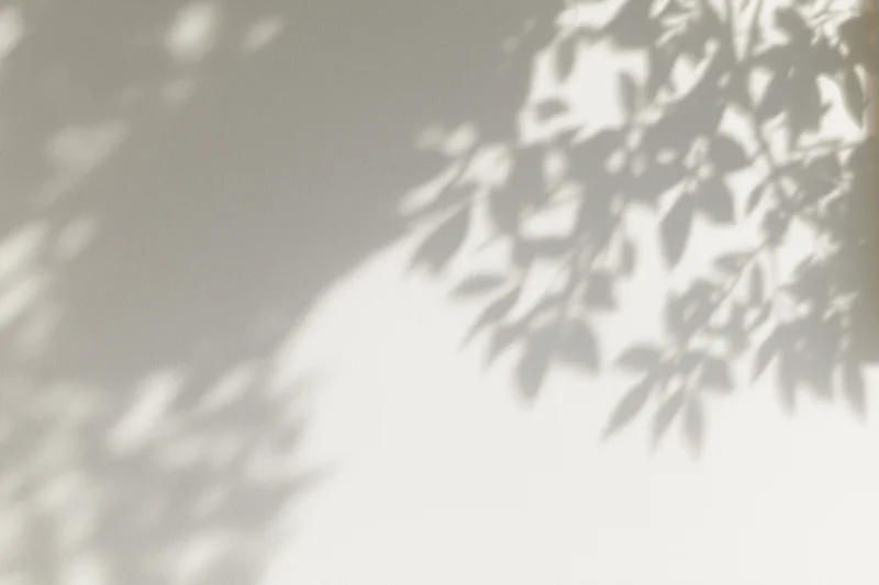Dappled shadows of leafy branches cast across a plain light surface