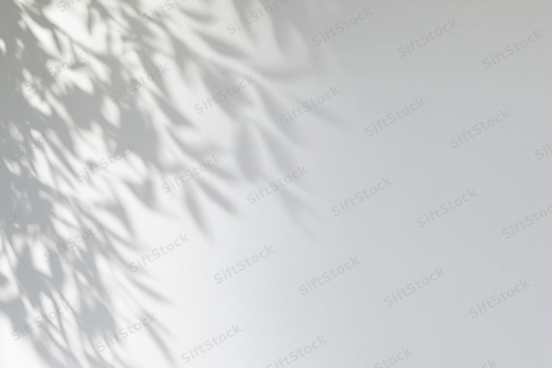 Dappled shadows of leafy branches on a white wall