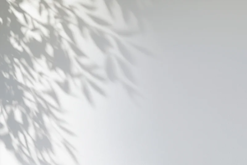 Dappled shadows of leafy branches on a white wall