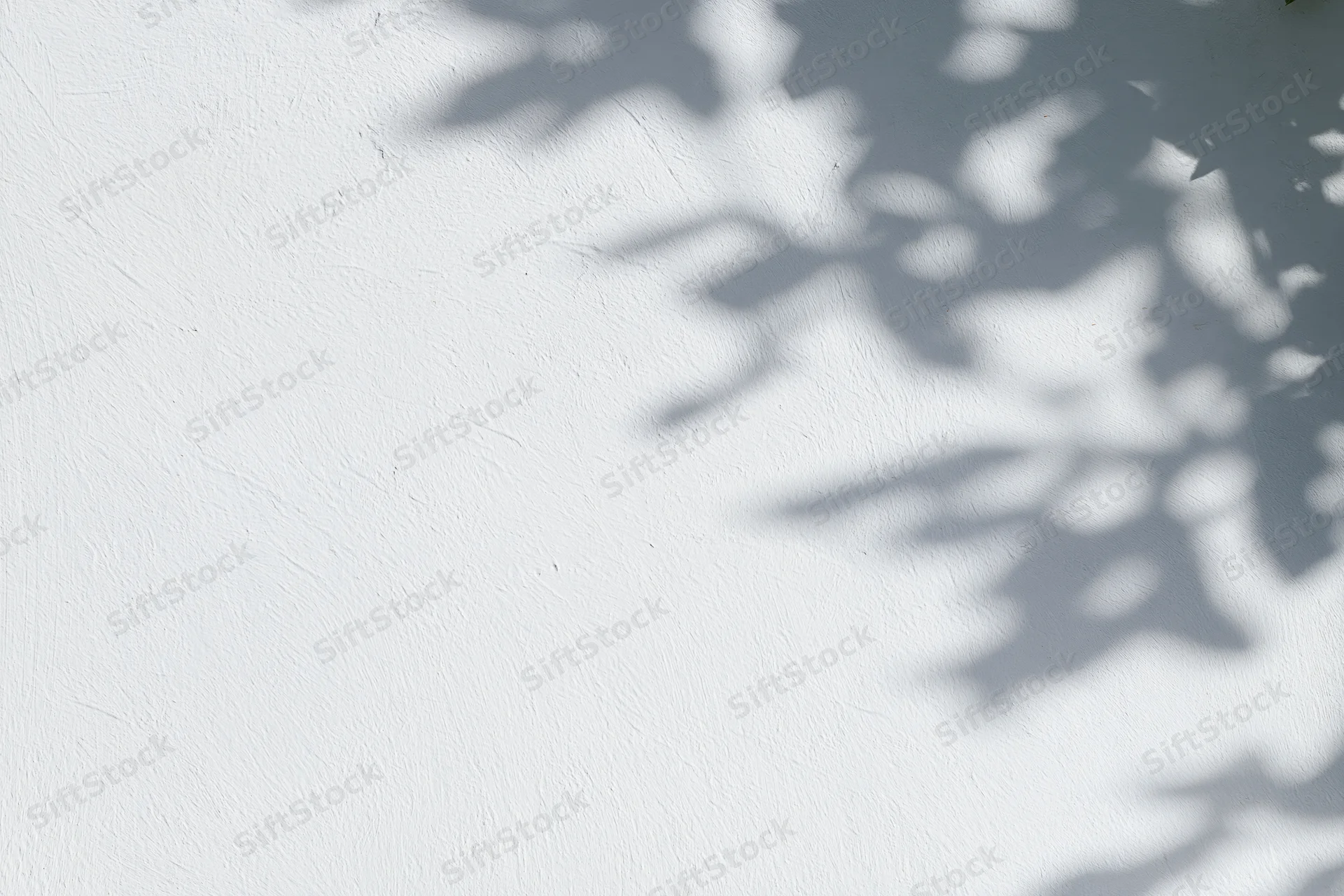 Dappled shadows of leafy branches on a white textured wall outdoors