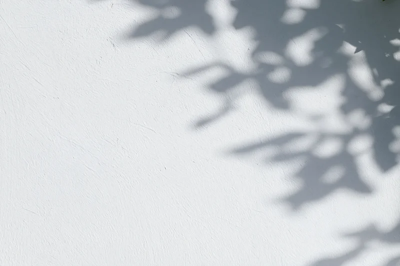 Dappled shadows of leafy branches on a white textured wall outdoors