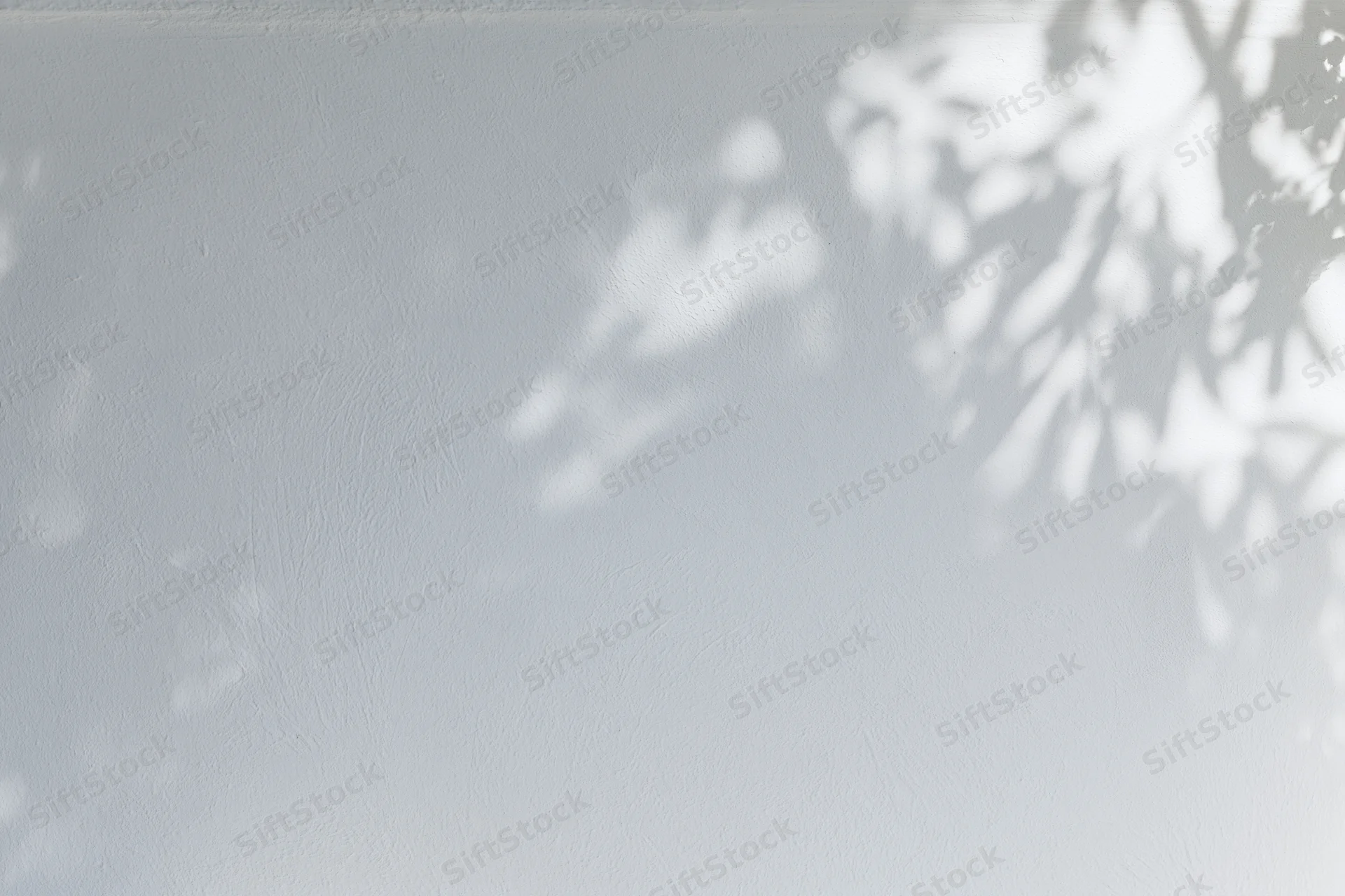 Dappled shadows of leafy branches cast on a plain white wall