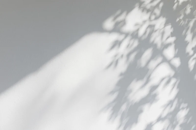 Dappled shadows of tree branches cast on a white wall