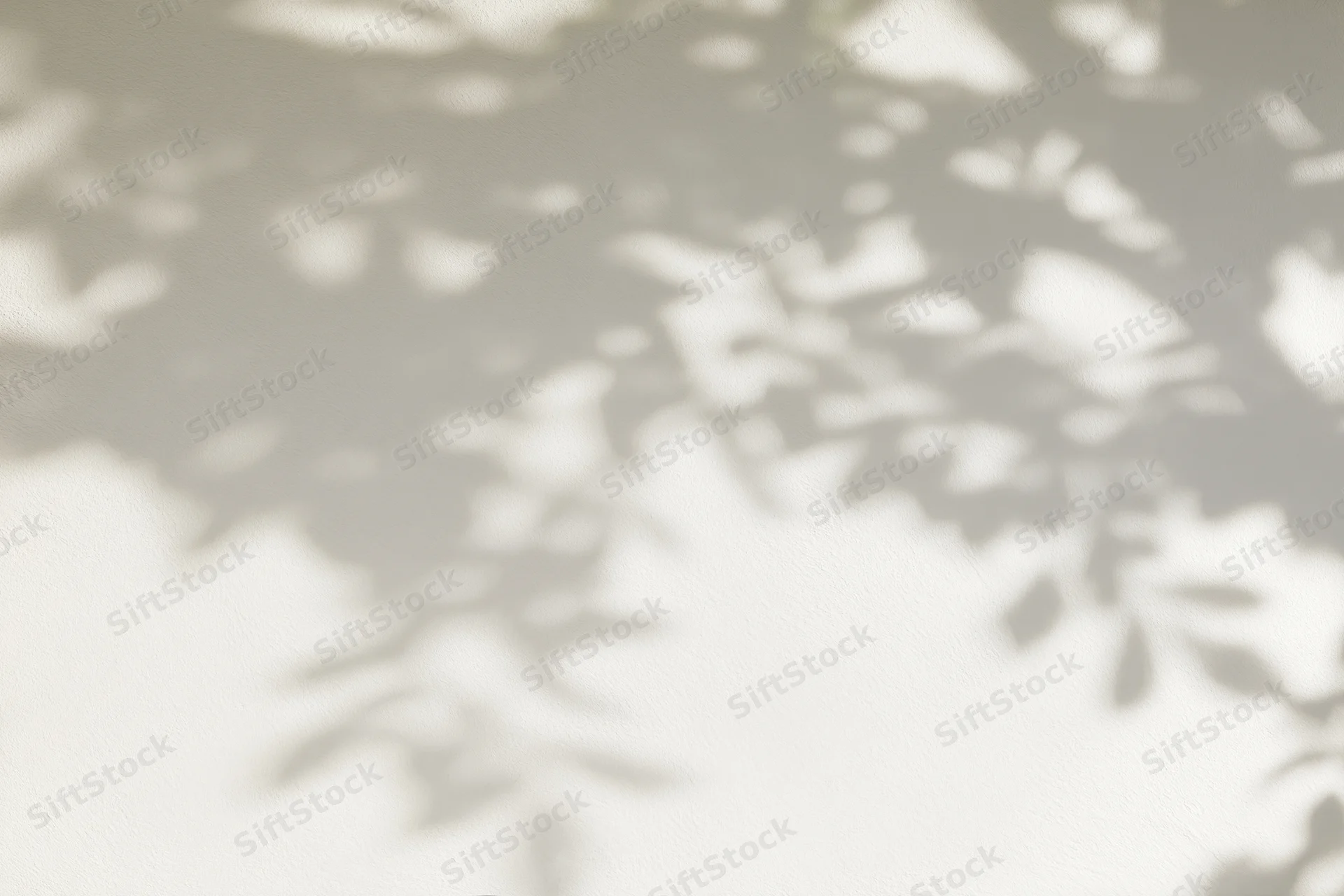 Dappled shadows of leaves cast on a smooth white wall