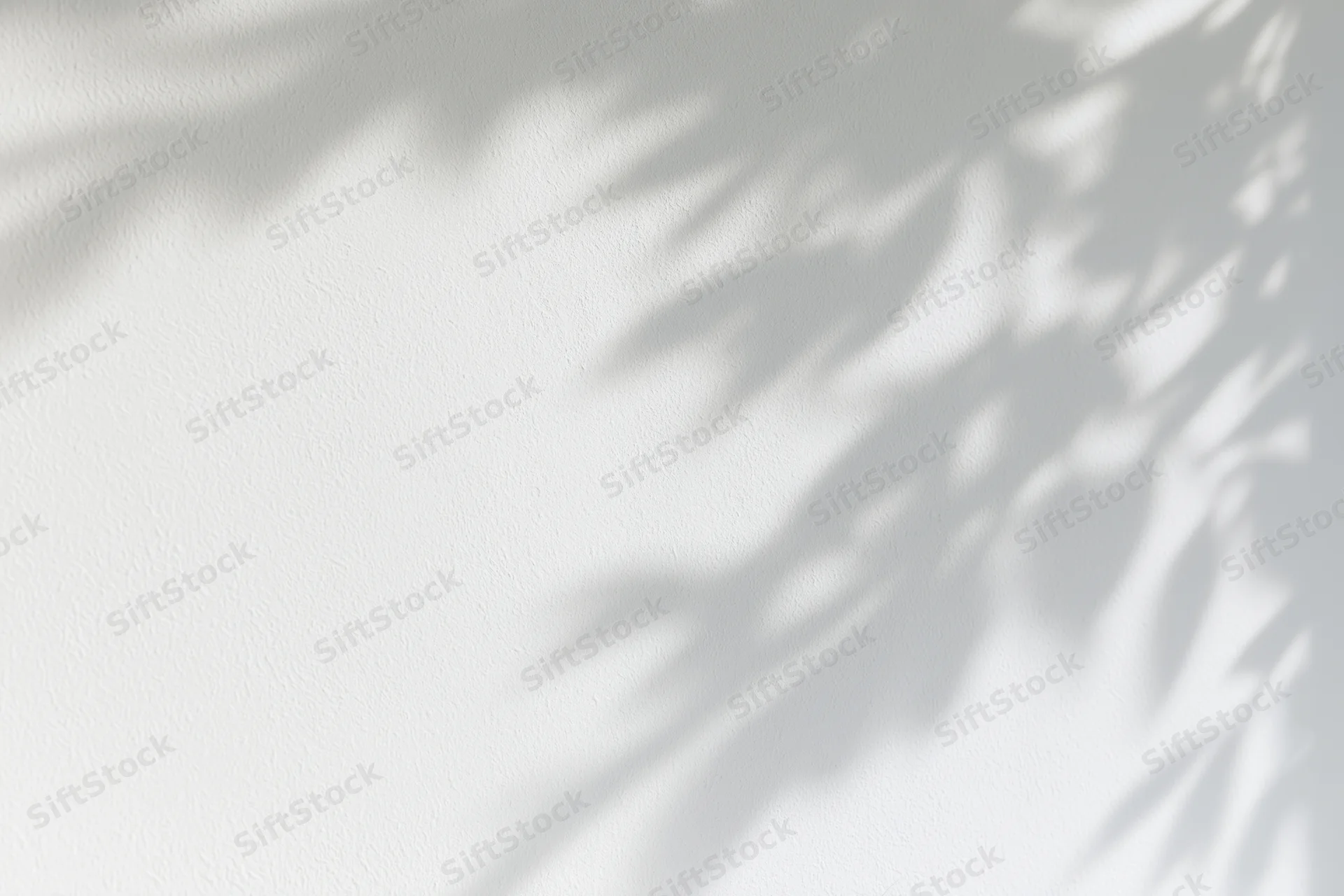 Dappled leaf shadows on a white textured wall