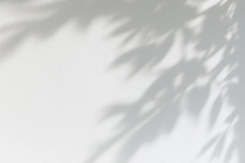 Dappled leaf shadows on a white textured wall