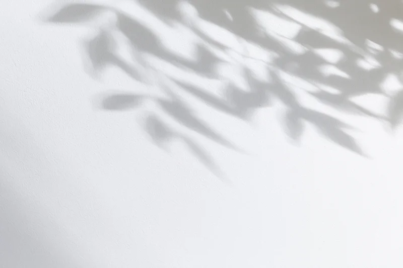 Soft dappled shadows of leaves cast on a white wall indoors