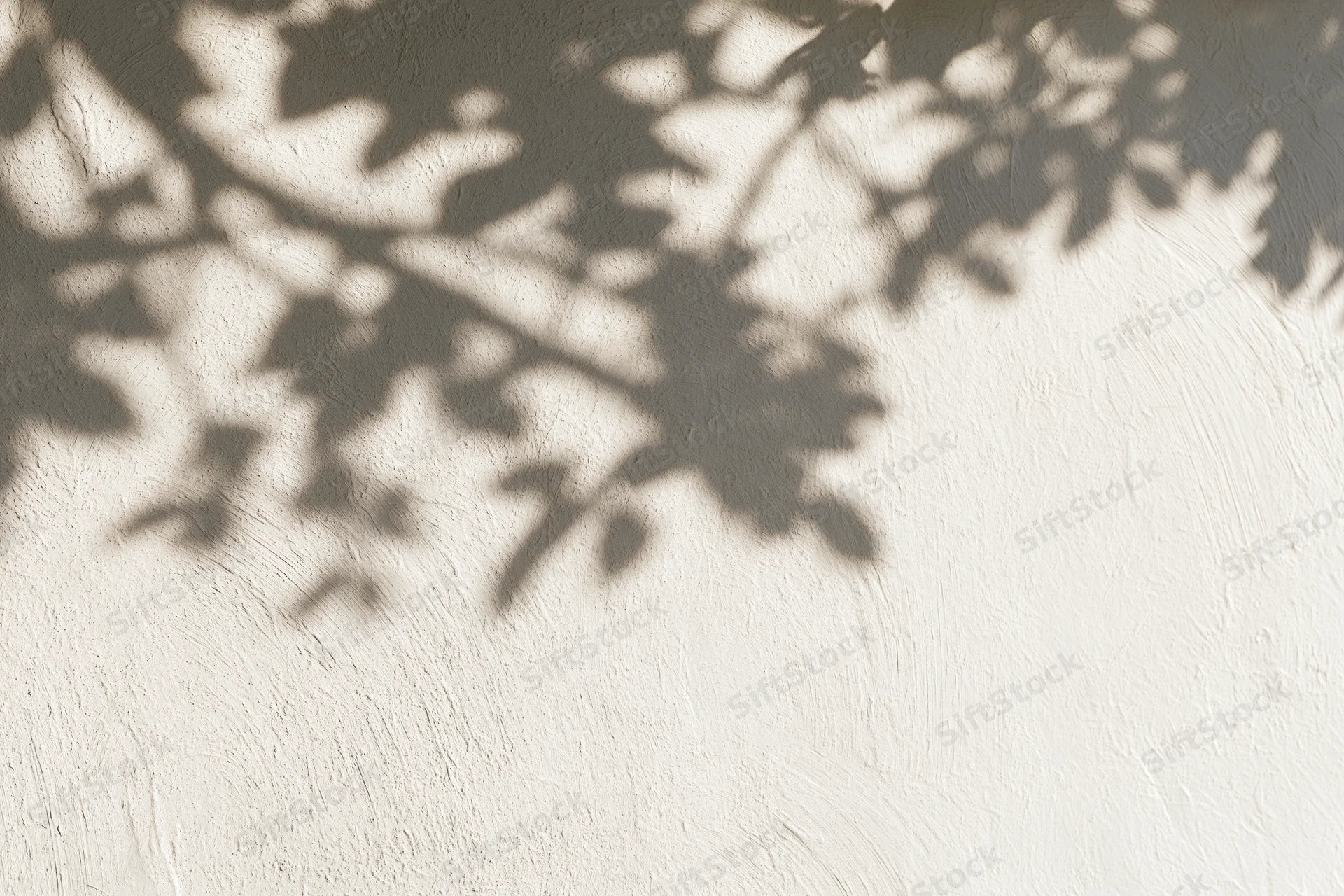 Dappled shadows of leaves and branches on a textured white wall