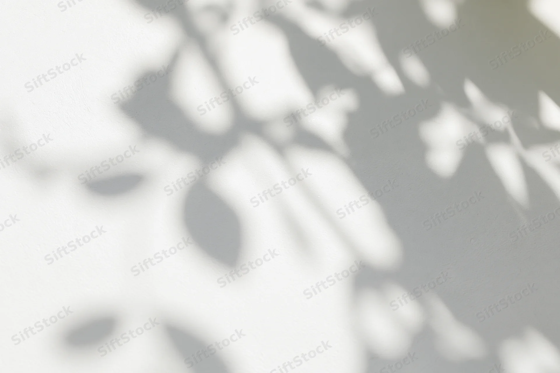 Dappled shadows of leaves and branches cast on a light wall outdoors