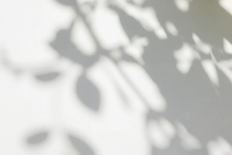 Dappled shadows of leaves and branches cast on a light wall outdoors