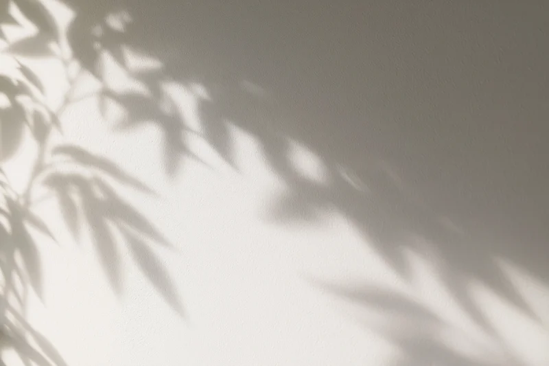 Dappled leaf shadows cast on a light-colored wall indoors