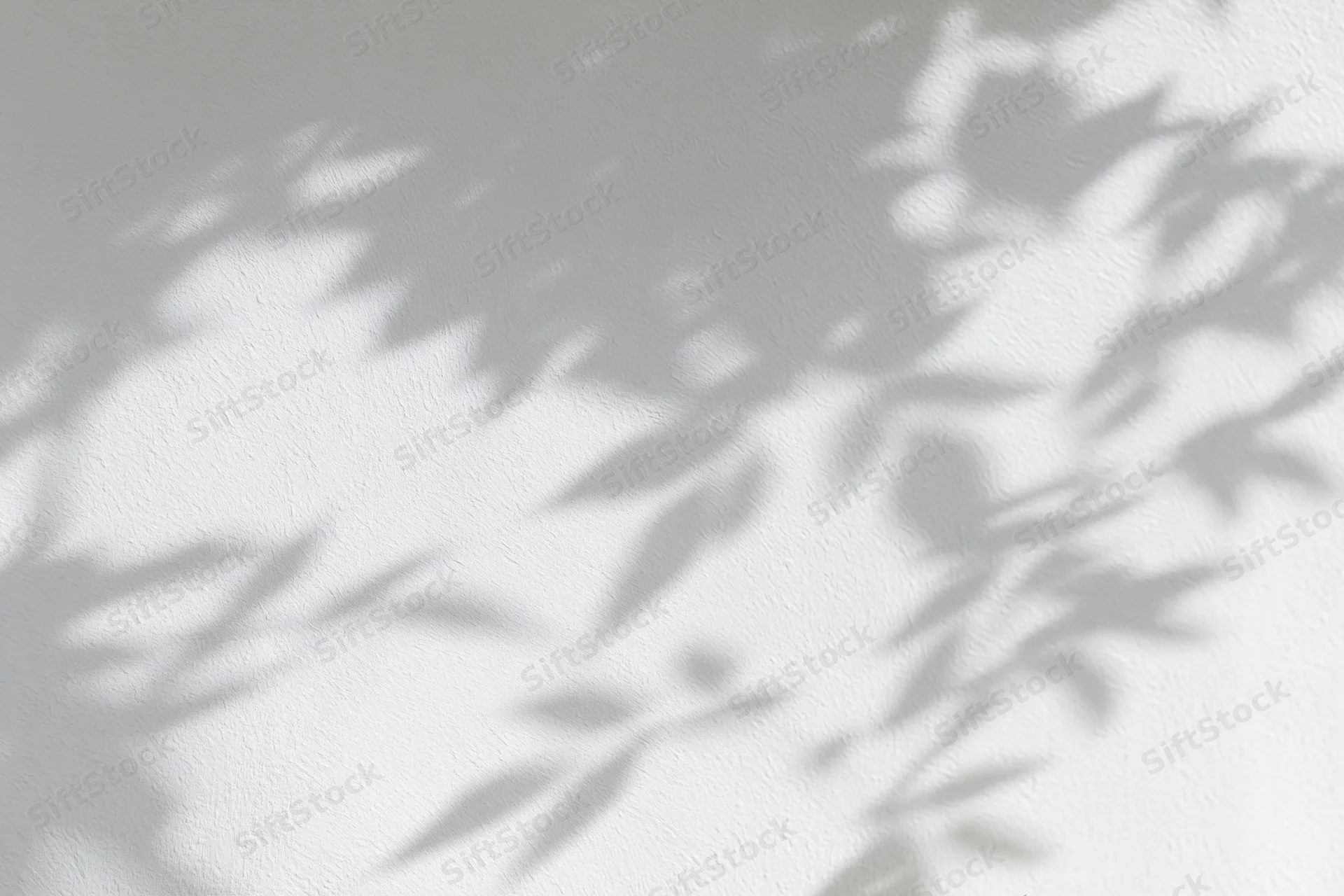 Dappled leaf shadows on a white textured wall in soft natural light