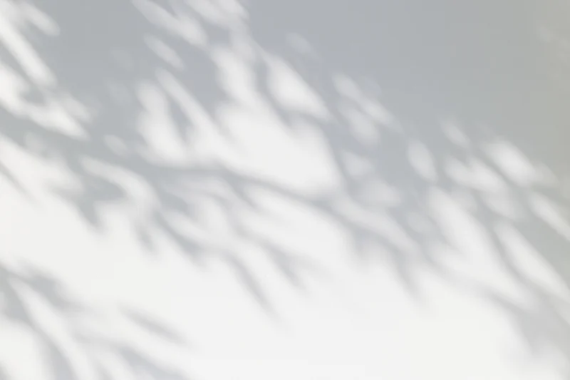 Dappled shadows of tree branches and leaves cast across a light gray surface