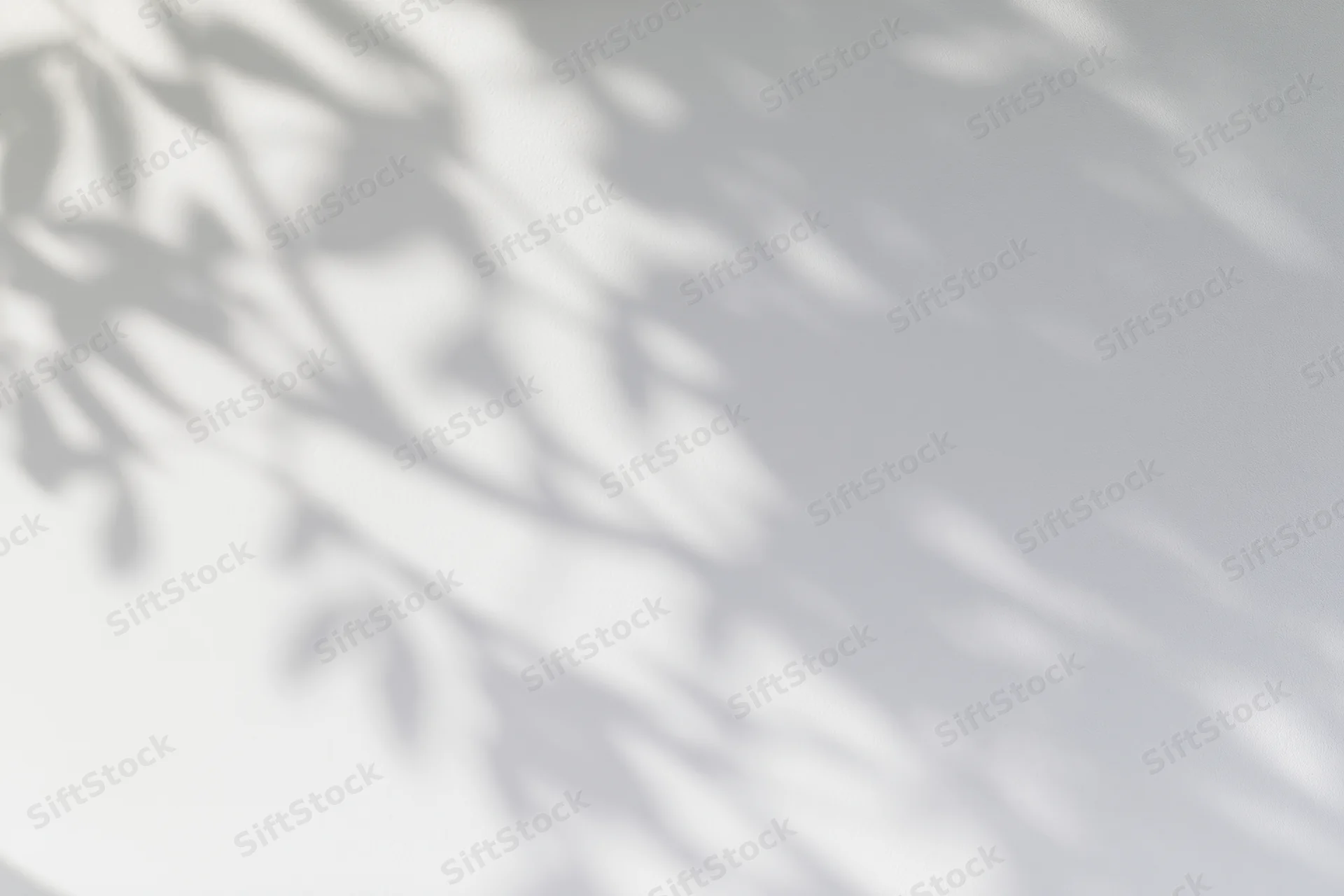 Soft dappled shadows of tree branches and leaves cast across a white surface