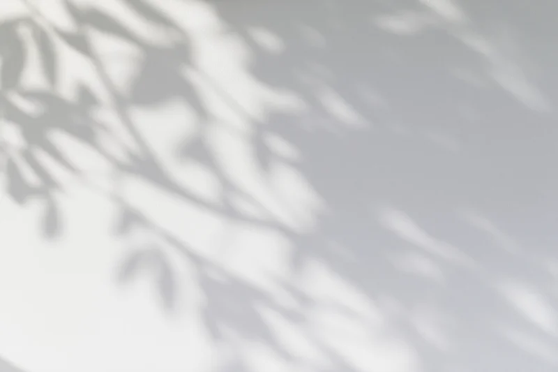 Soft dappled shadows of tree branches and leaves cast across a white surface