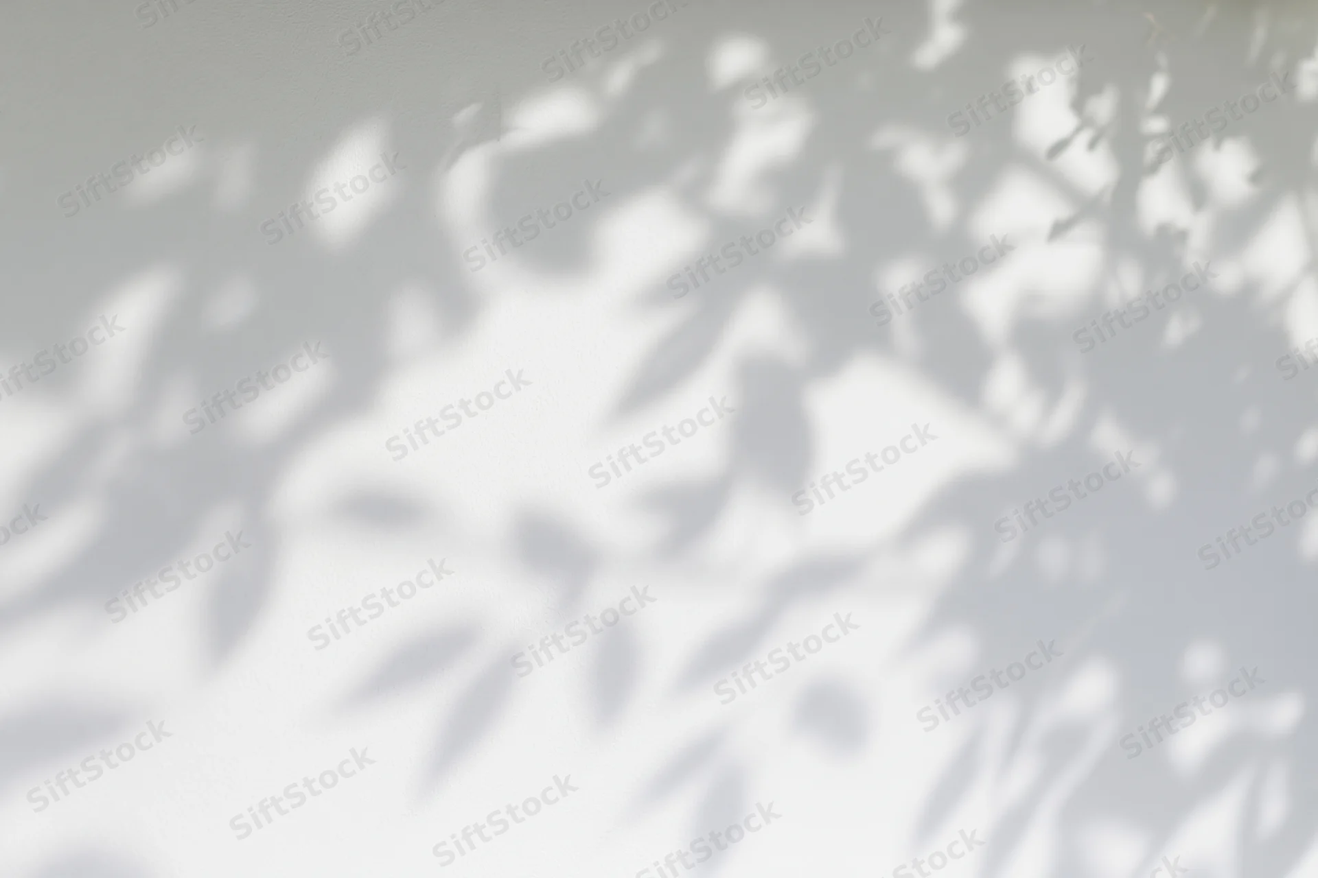 Dappled shadows of tree leaves and branches cast on a white wall surface