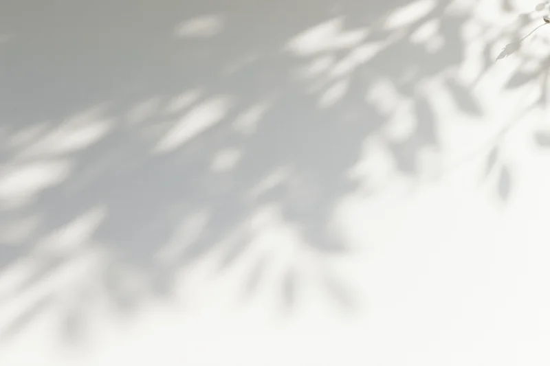 Dappled shadows of tree branches and leaves cast across a bright white surface