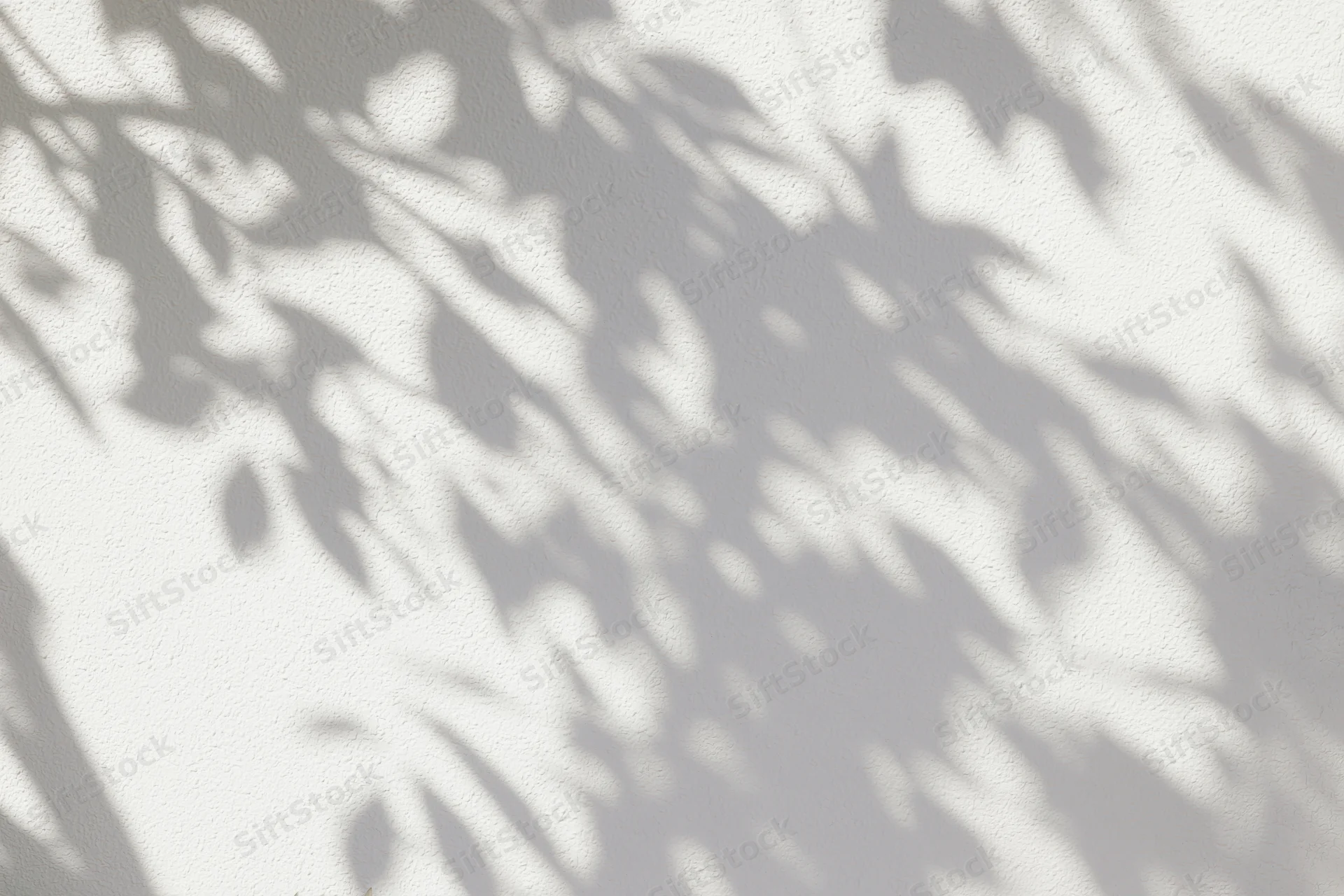Dappled shadows of tree leaves and branches cast on a white textured wall