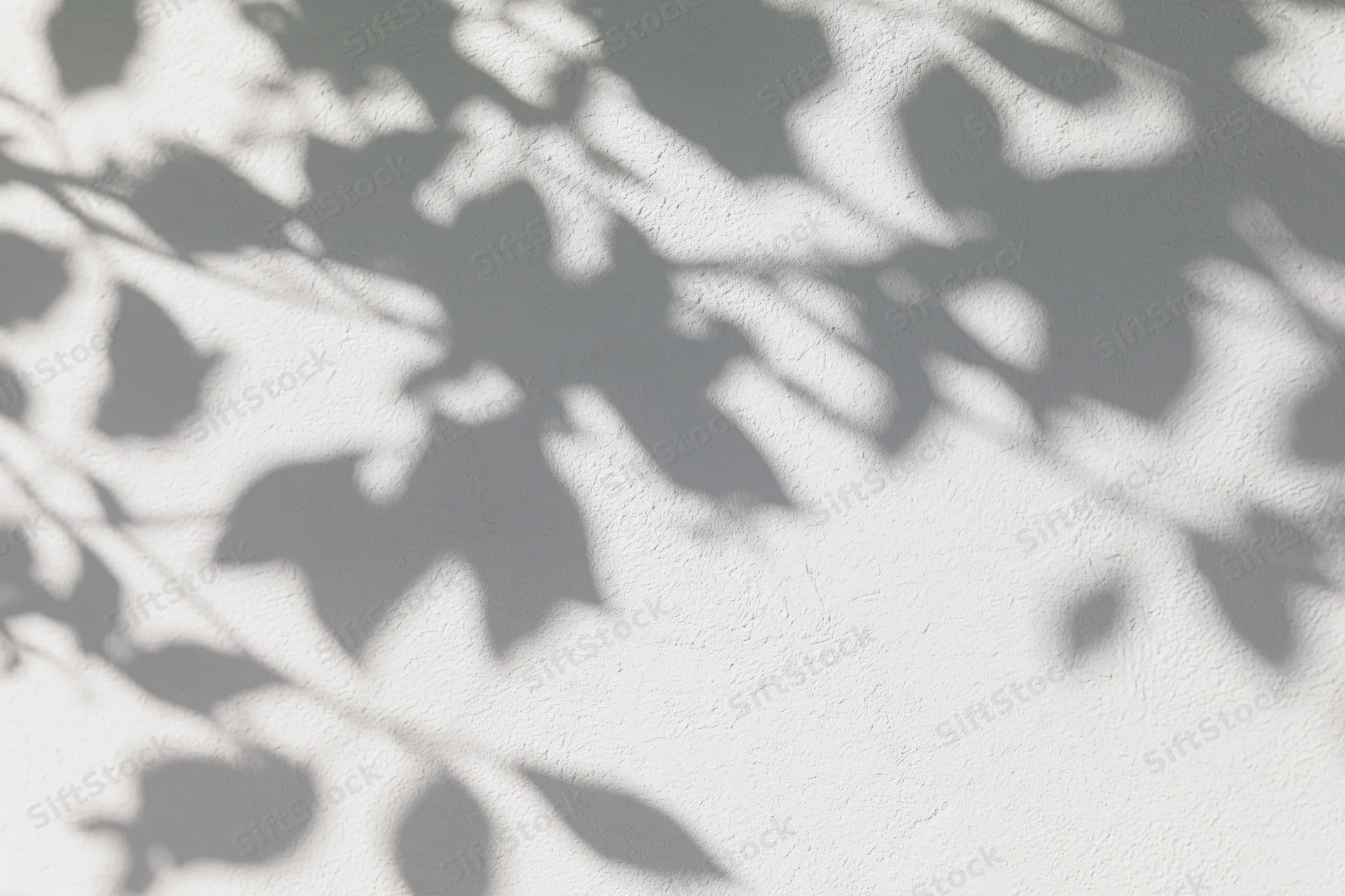 Dappled shadows of tree branches and leaves cast on a white textured wall