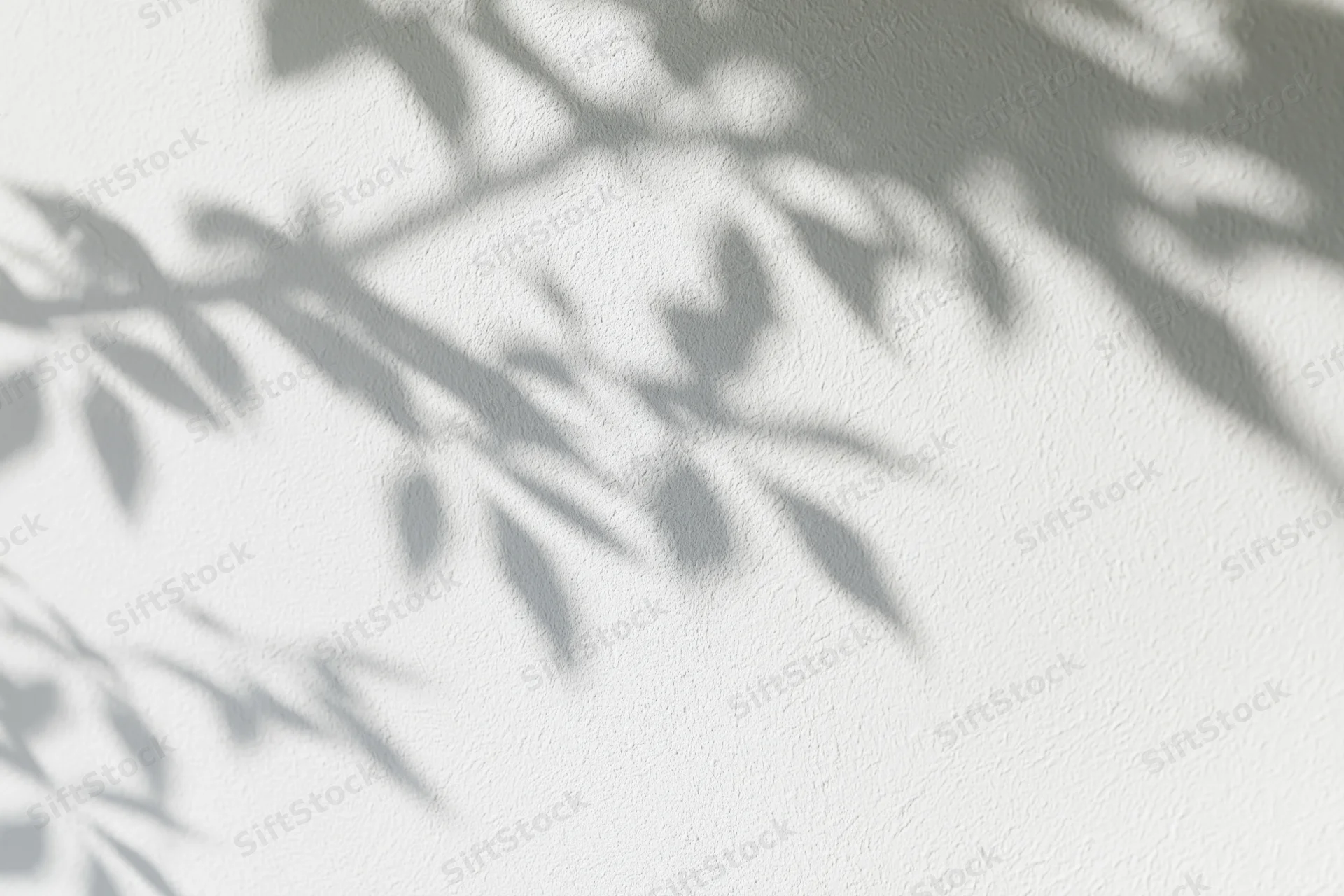 Dappled shadows of tree branches and leaves cast on a white textured wall