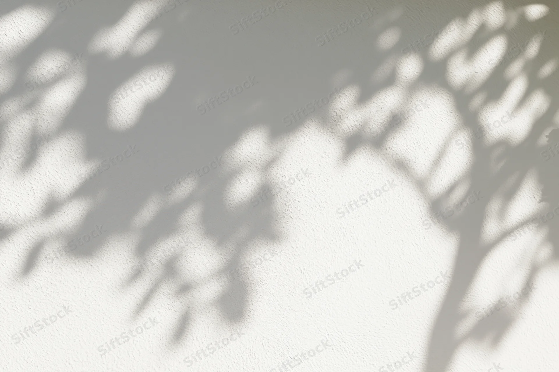 Dappled tree shadows cast on a white textured wall outdoors