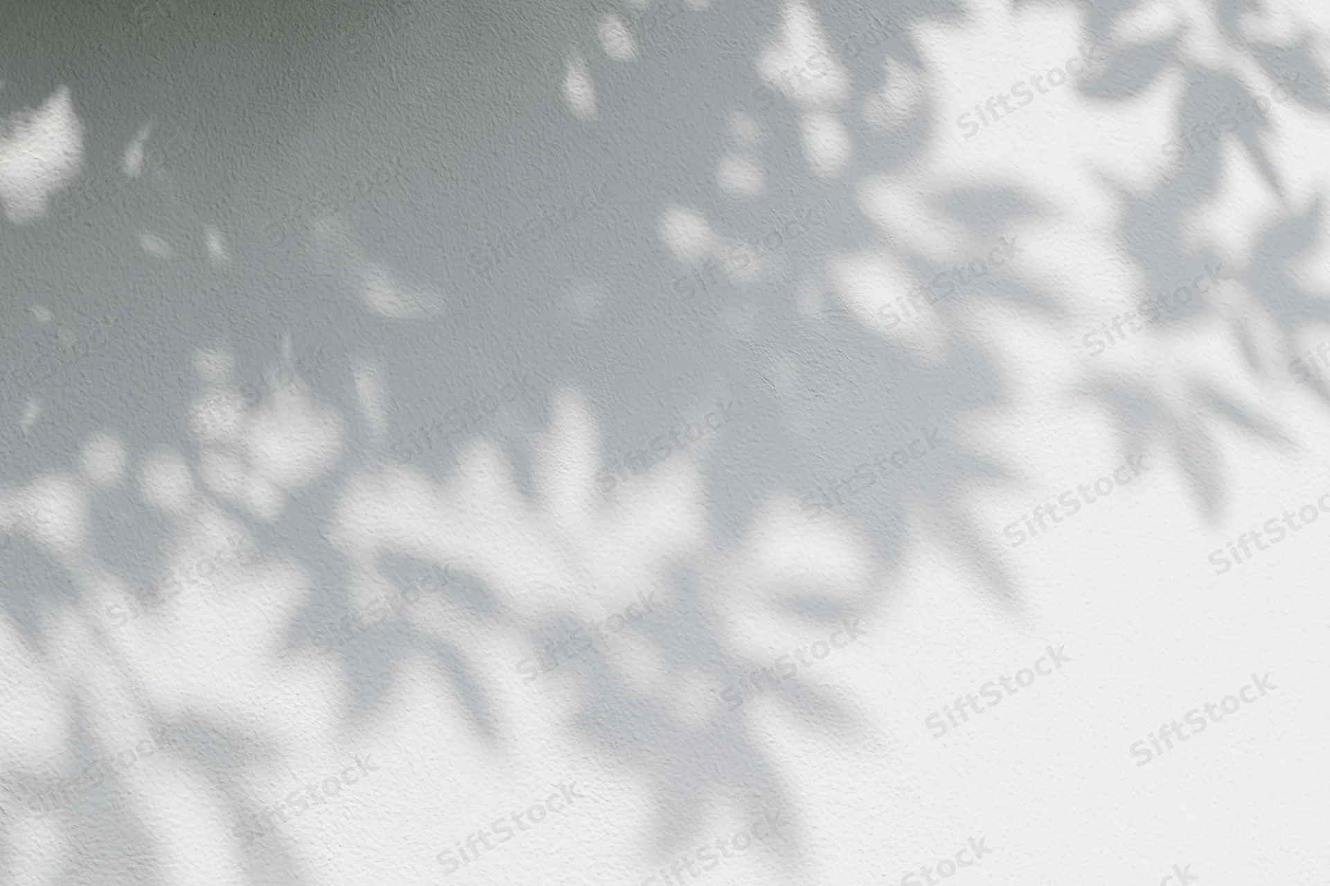 Dappled shadows of tree leaves cast on a white wall outdoors