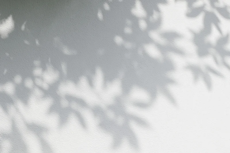 Dappled shadows of tree leaves cast on a white wall outdoors