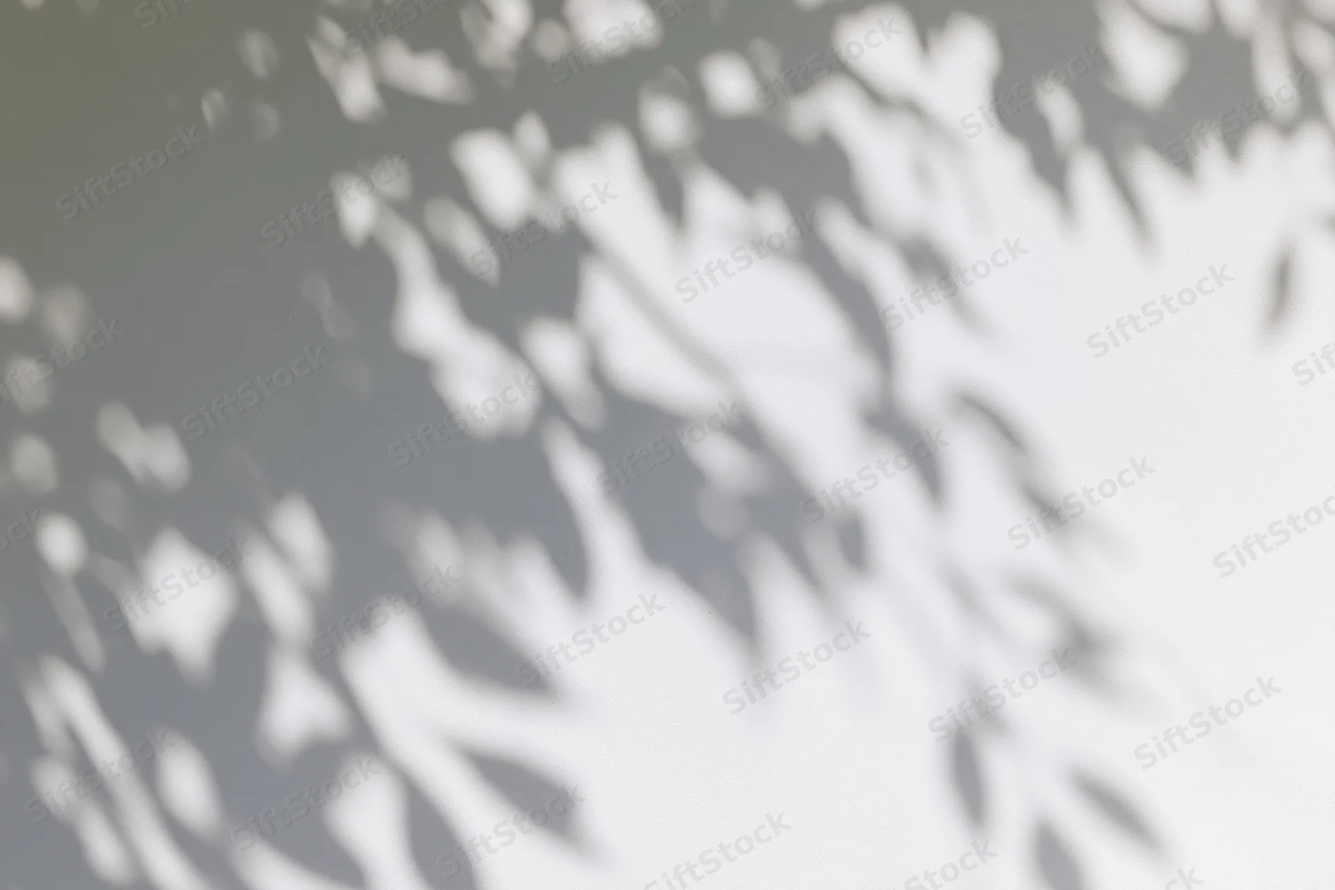 Dappled shadows of tree branches and leaves cast across a neutral surface in soft natural light