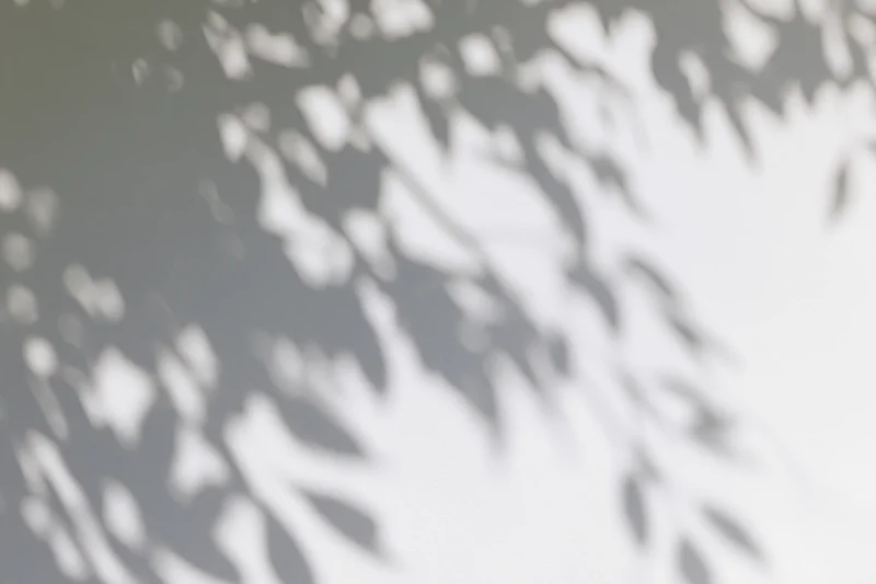 Dappled shadows of tree branches and leaves cast across a neutral surface in soft natural light