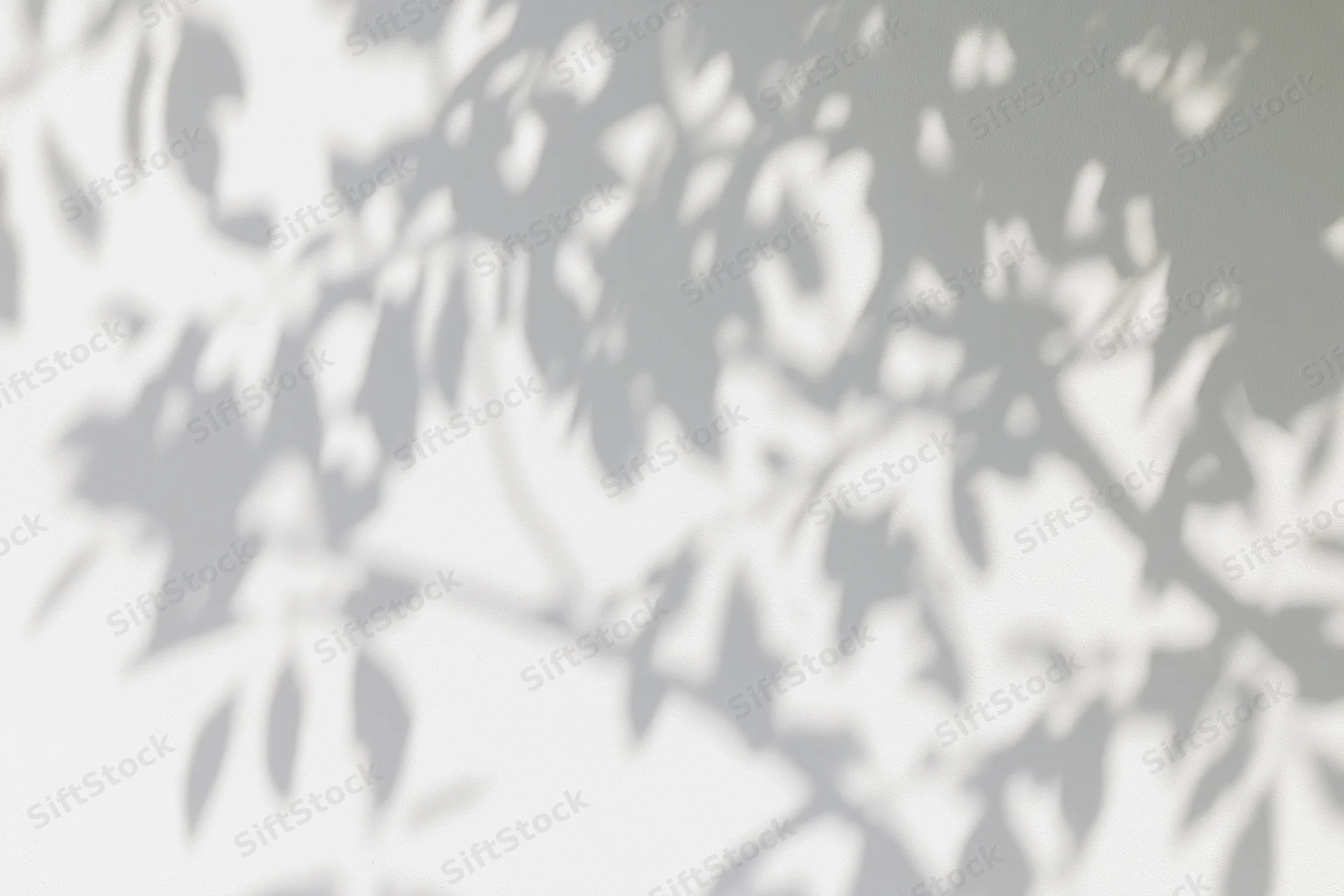 Dappled shadows of tree branches and leaves cast across a light surface
