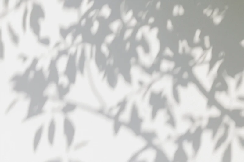 Dappled shadows of tree branches and leaves cast across a light surface