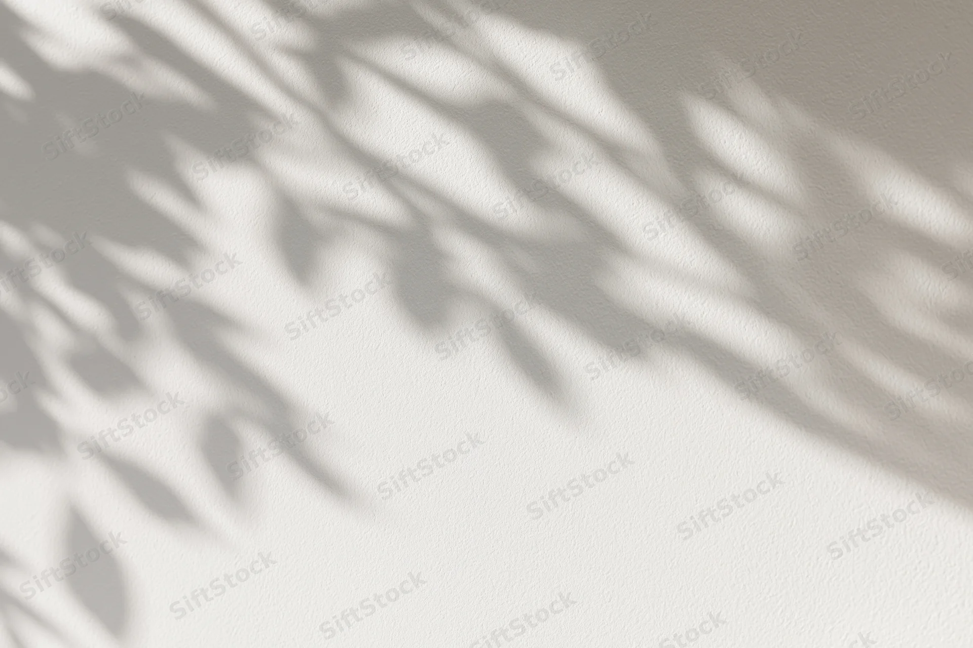 Dappled shadows of tree branches and leaves cast diagonally across a light-colored wall
