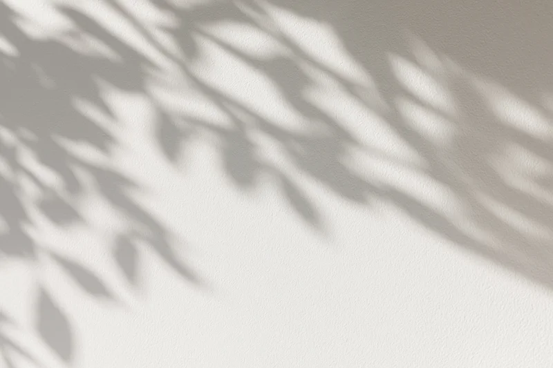 Dappled shadows of tree branches and leaves cast diagonally across a light-colored wall