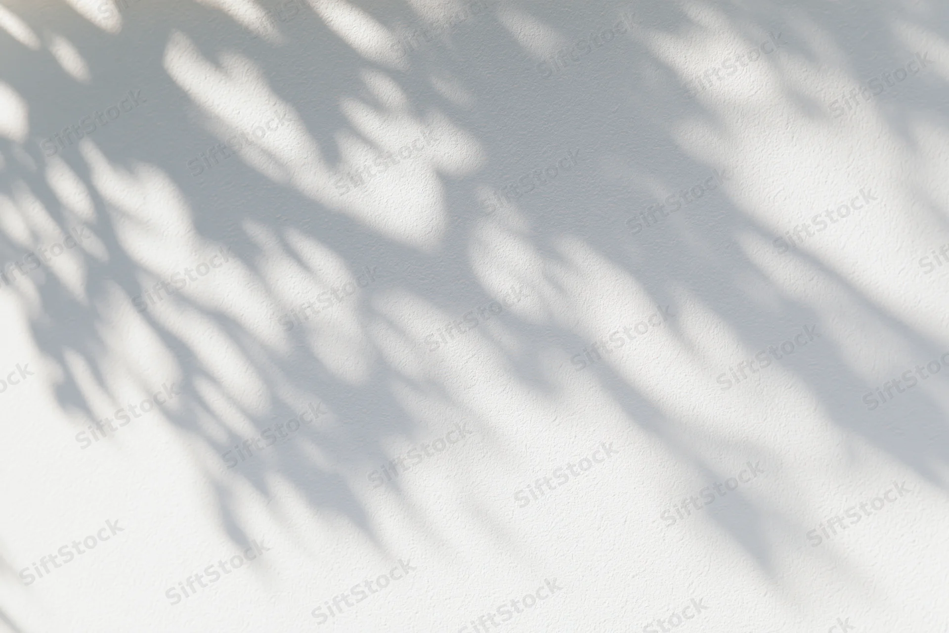 Dappled shadows of tree branches and leaves cast diagonally across a white wall in natural sunlight