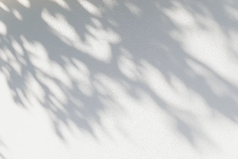 Dappled shadows of tree branches and leaves cast diagonally across a white wall in natural sunlight