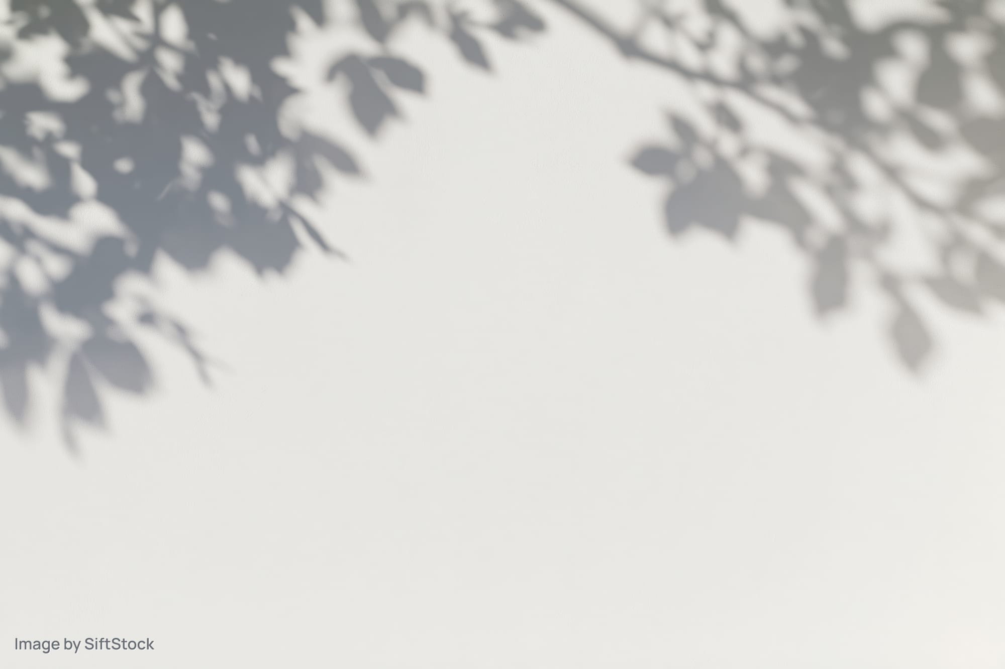 Soft dappled shadows of tree branches and leaves cast on a light surface