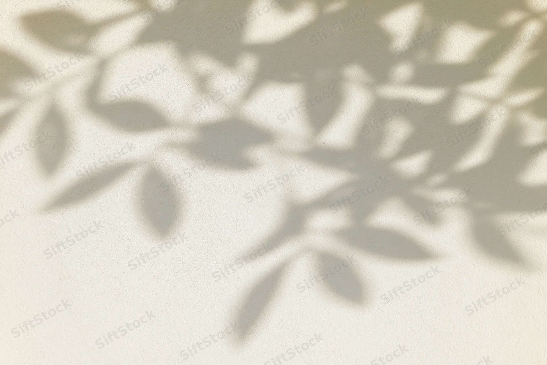 Soft dappled shadows of tropical leaves cast on a beige wall